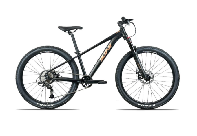 Zini Z26 Disc